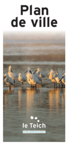 Plan du Teich &bull;