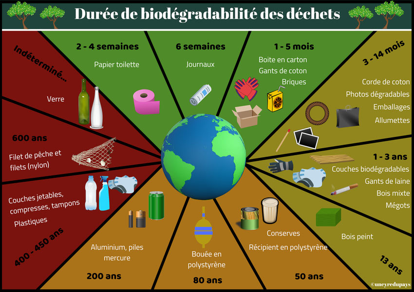 Déchets et biodégradabilité : je préserve mon bassin ! • Actualités