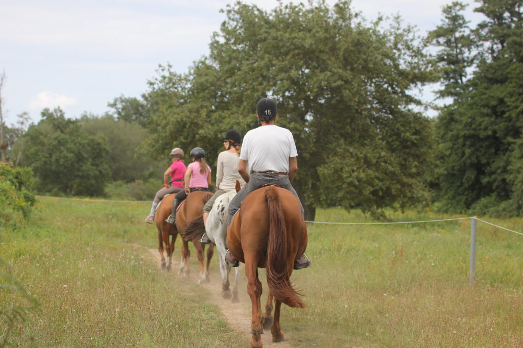 Balades à cheval - equitation villetorte loisirs