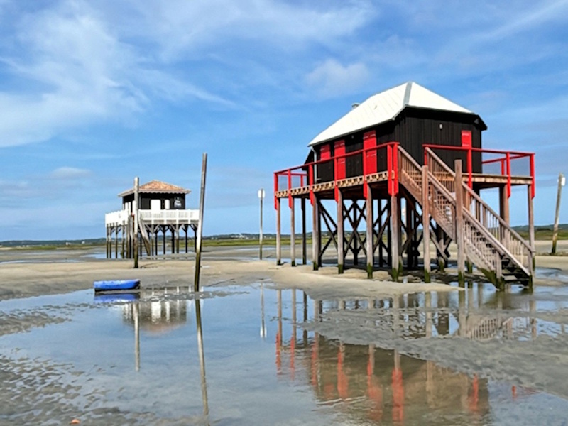 Coup de pagaie - Embarquez pour une aventure de deux heures à la découverte du delta de la Leyre, joyaux du patrimoine du sud bassin !
En kayak de mer, profitez d’une escapade exceptionnelle au cœur de la source du bassin d’Arcachon.
Entre sport et détente, cette balade vous invite à explorer notre beau territoire comme vous ne l’avez jamais vu.
Votre moniteur diplômé vous guidera en toute sécurité, en partageant anecdotes et secrets du milieu naturel. Un moment convivial et dépaysant, idéal pour profiter pleinement du bassin autrement !