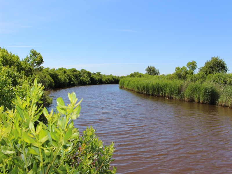 Fleury c'est nous ! • Agenda Fleury c’est nous ! - Agenda Nature du Teich