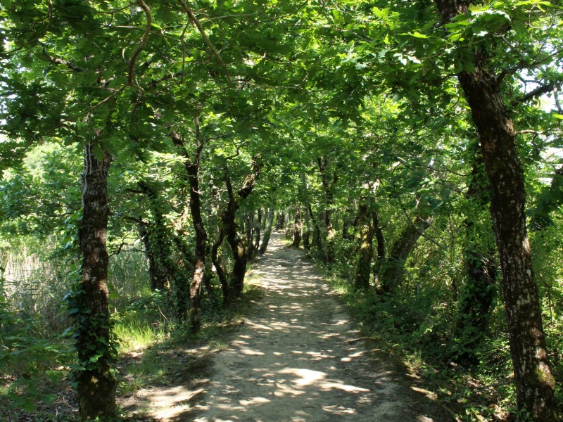 Marche en conscience • Agenda Marche en conscience - Agenda Nature du Teich