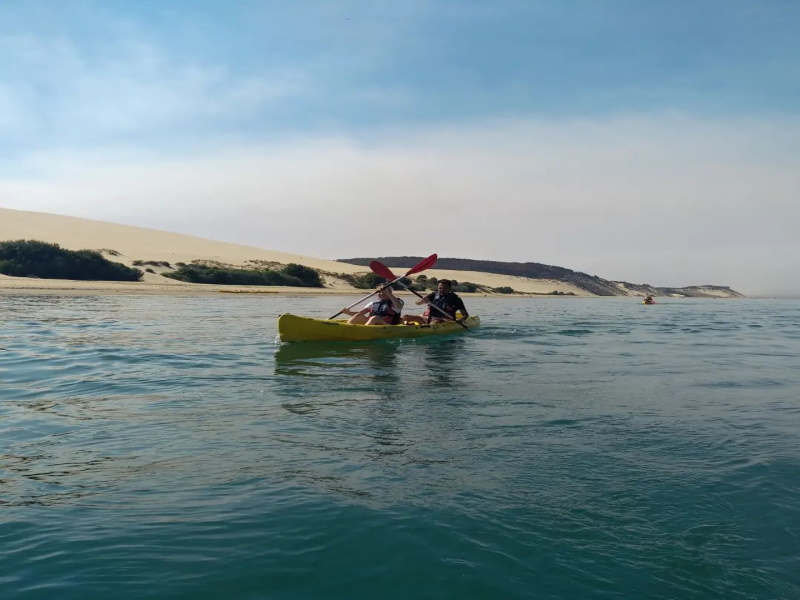 Kayaktrip - Kayak Trip vous emmène pour des balades en kayak de mer, accompagné par Dorian, guide diplômé d'Etat, expérimenté et passionné qui partage son savoir sur le patrimoine, la faune et la flore du bassin d’Arcachon. Vous vous imprégnez de la richesse et de la sérénité de lieux comme le banc d'Arguin, la dune du Pilat, le delta de la Leyre (départ selon les marées et les lieux de balade).