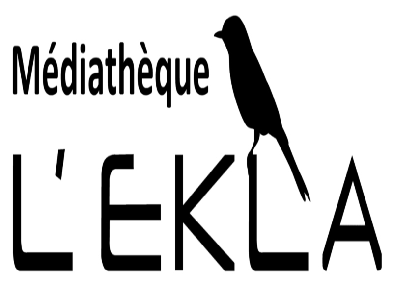 La médiathèque prend l'air • Agenda La médiathèque prend l’air - Agenda Animation et fête locale du Teich