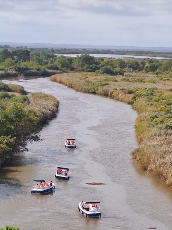 E-co plaisance BA - Le Delta de la Leyre est un monde de transition où faune et flore se répartissent entre les eaux douces de la Leyre et les influences salées du Bassin d'Arcachon. Ce parcours offre différents paysages entre roseaux et faux cotonniers.
Navigation propre et silencieuse, au fil de la Leyre et à proximité de la Réserve Ornithologique, la propulsion électrique permet une observation privilégiée de la flore et de la faune.
Location de bateaux électriques sans permis sur la Leyre (7 personnes par bateau maximum).
Location de paddle pour découvrir la Leyre autrement.
Location de voiliers (4 personnes minimum).