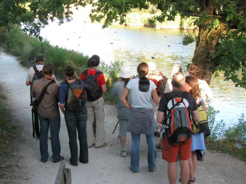 Les visiteurs d’Eté - Agenda Nature du Teich