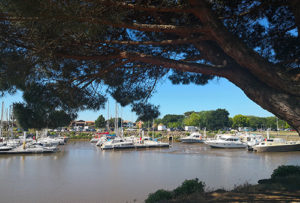 Au Teich • Les incontournables • Office de Tourisme du Teich 33470