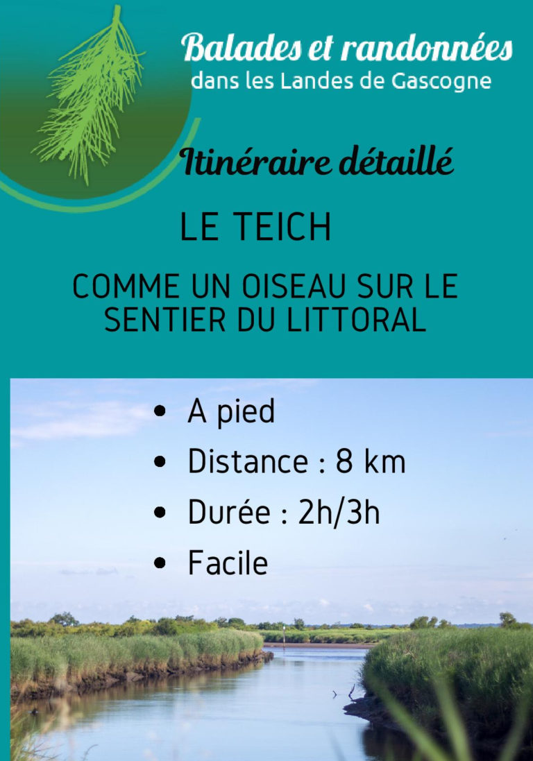 Brochures de l'Office de Tourisme du Teich 33470