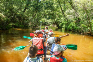 Sports et loisirs au Teich