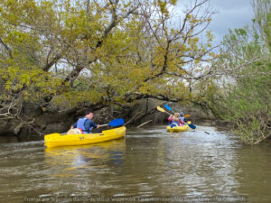 Petits kayaks, prêt pour l’aventure - Agenda Sports et loisirs Office de Tourisme Le Teich