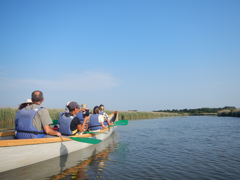 Visite de la réserve ornithologique et de son delta à pied et en canoë. - Agenda Sports et loisirs du Teich