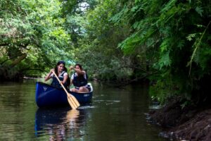 Balade en canoë traditionnel : escapade cistude - Agenda Sports et loisirs Office de Tourisme Le Teich