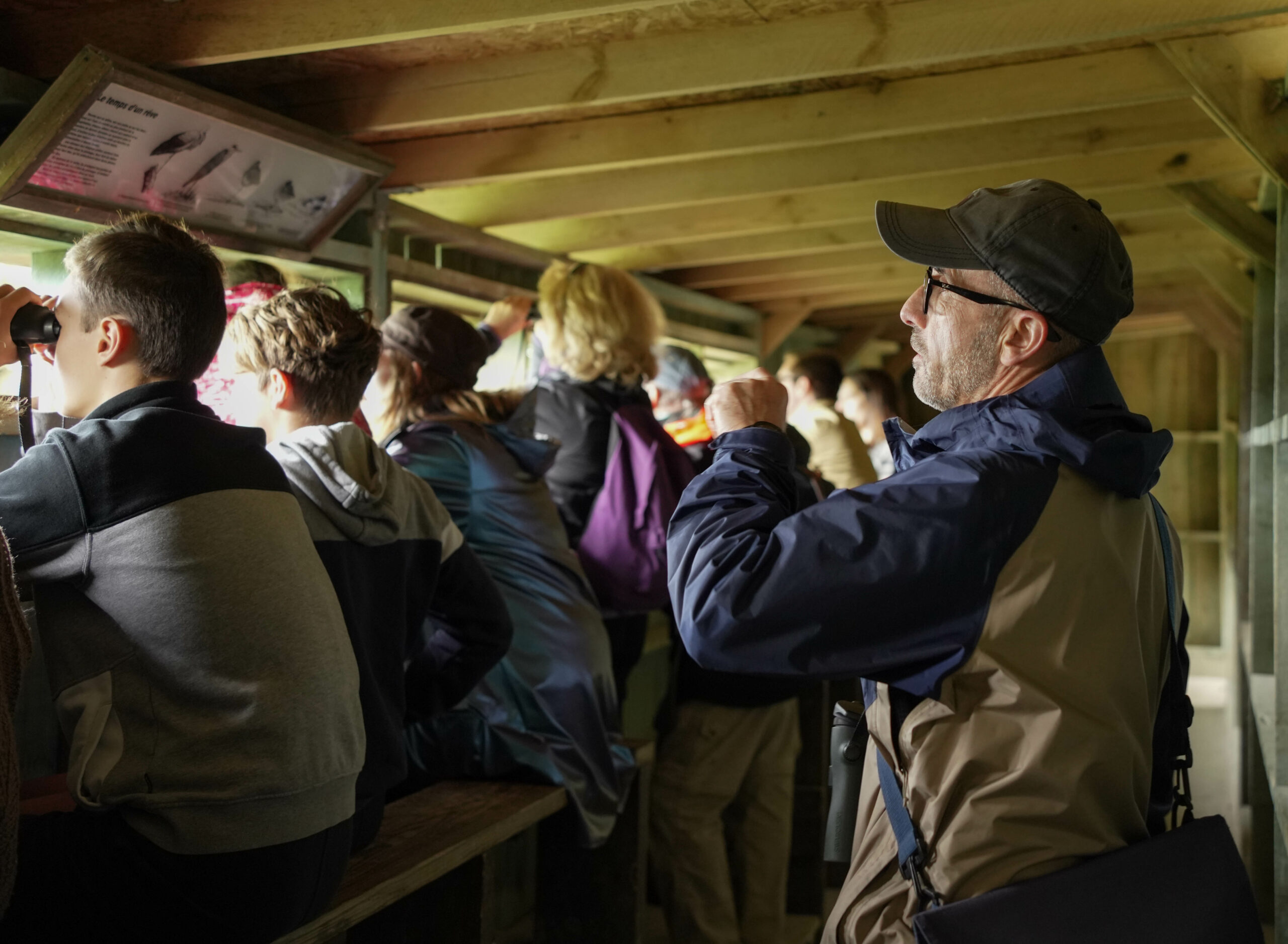 Journées Européennes des Oiseaux Migrateurs à la Réserve Ornithologique du Teich - Agenda Nature du Teich