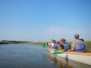 Visite libre de la réserve ornithologique et canoë collectif - Agenda Sports et loisirs Office de Tourisme Le Teich