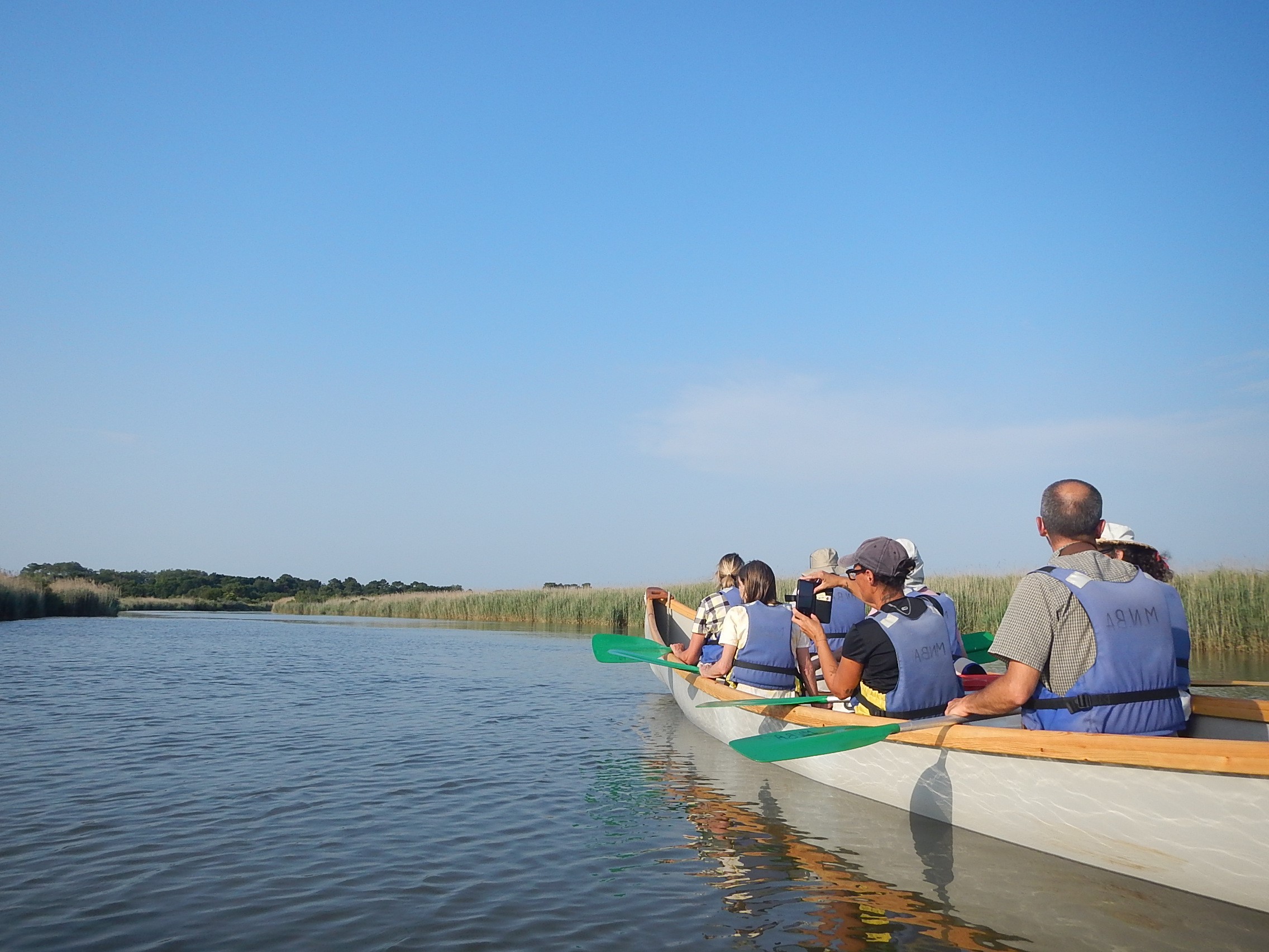 Visite libre de la réserve ornithologique et canoë collectif - Agenda Sports et loisirs du Teich