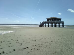 Kayak de mer à l’île aux oiseaux ou à la dune du Pilat - Agenda Sports et loisirs Office de Tourisme Le Teich