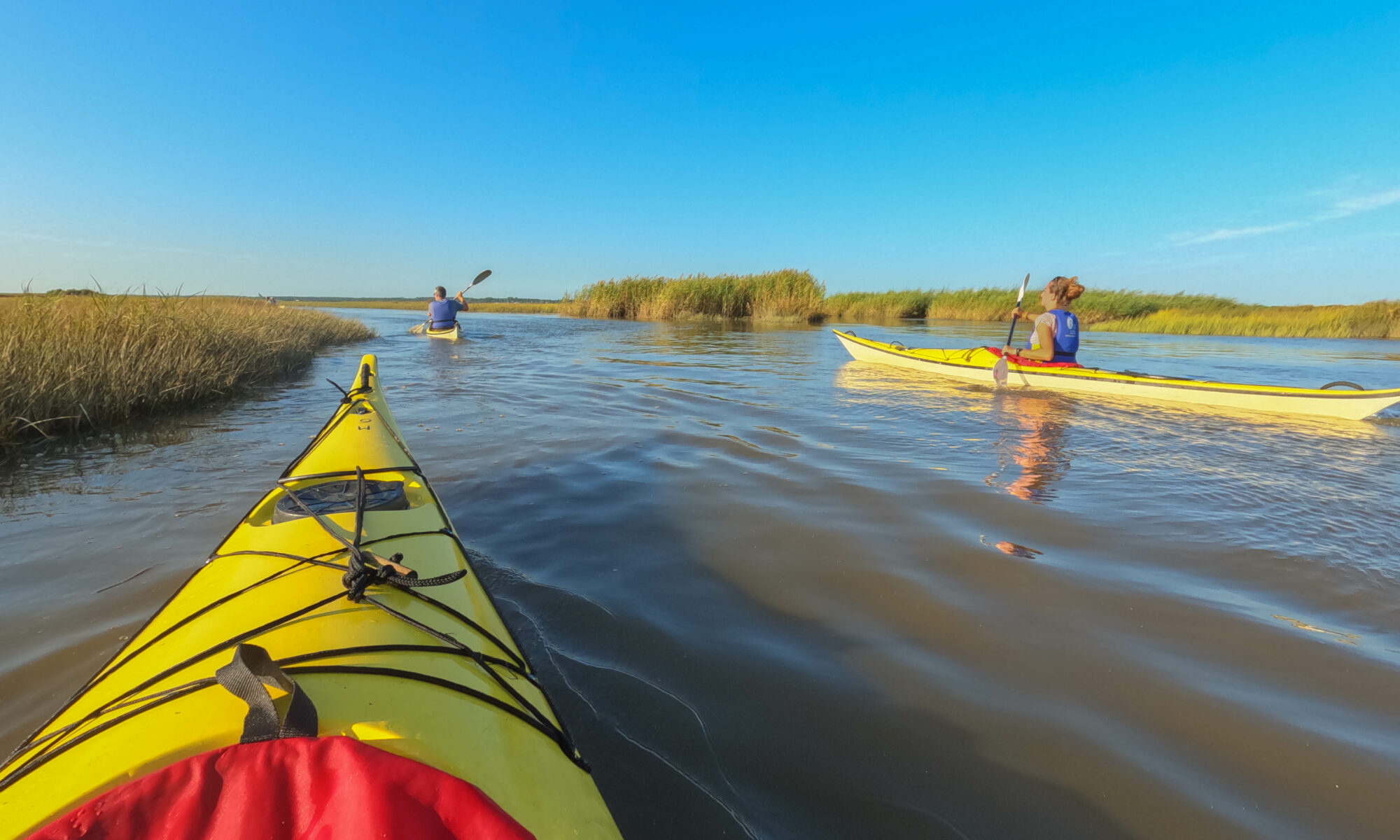 Sortie en kayak de mer - Découverte du delta de l'Eyre et du Bassin d'Arcachon • Loisir nature