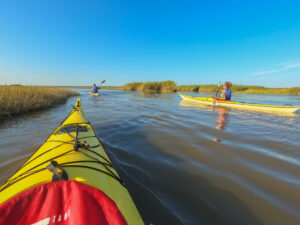 Sortie en kayak de mer – Découverte du delta de l’Eyre et du Bassin d’Arcachon - Agenda Sports et loisirs Office de Tourisme Le Teich