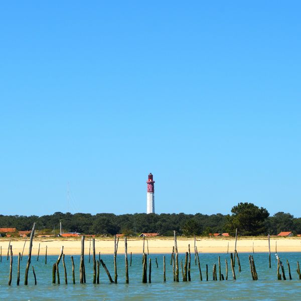 Au Gré des Marées – Balades en Pinasse - Découvrez le Bassin d'Arcachon de façon originale à bord de son bateau emblématique : La Pinasse.
Au cœur d'un cadre classé Natura 2000, venez découvrir au rythme d'antan le Bassin authentique.
Pascal, enfant du pays et marin depuis 30 ans, vous fait partager sa passion à bord de sa Pinasse traditionnelle Dream.
Découvrez différentes balades : tour de l’Ile aux Oiseaux et des cabanes tchanquées, découverte de la Presqu'île du Cap Ferret et la Dune du Pyla ou encore une journée sur la réserve Naturelle du Banc d'Arguin.