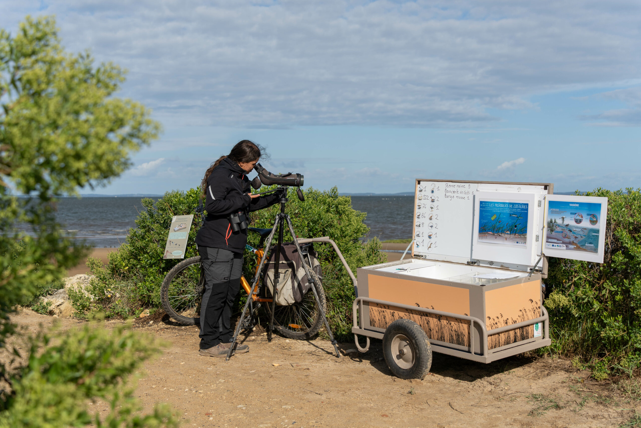 Accueil naturaliste sur le sentier du littoral à la Pointe du Teich - Agenda Nature du Teich