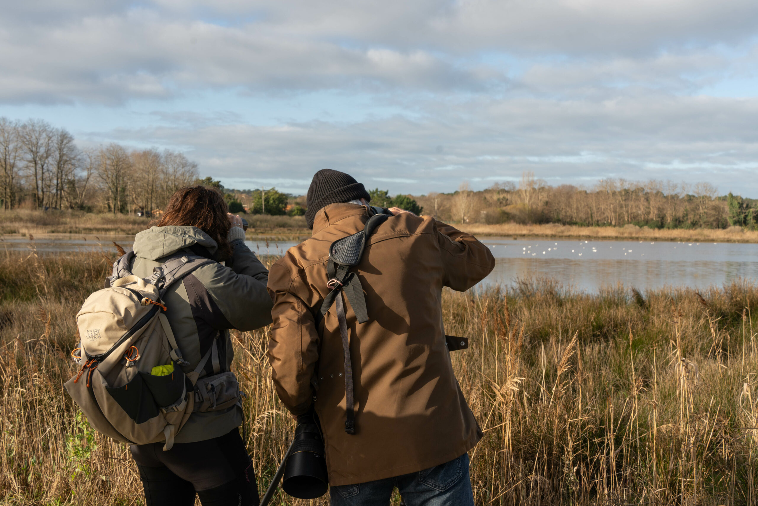Formation aux oiseaux du littoral : les laridés et oiseaux côtiers - Agenda Nature du Teich