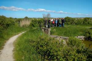 Balade à pied au coeur du delta de la Leyre - Agenda Nature Office de Tourisme Le Teich