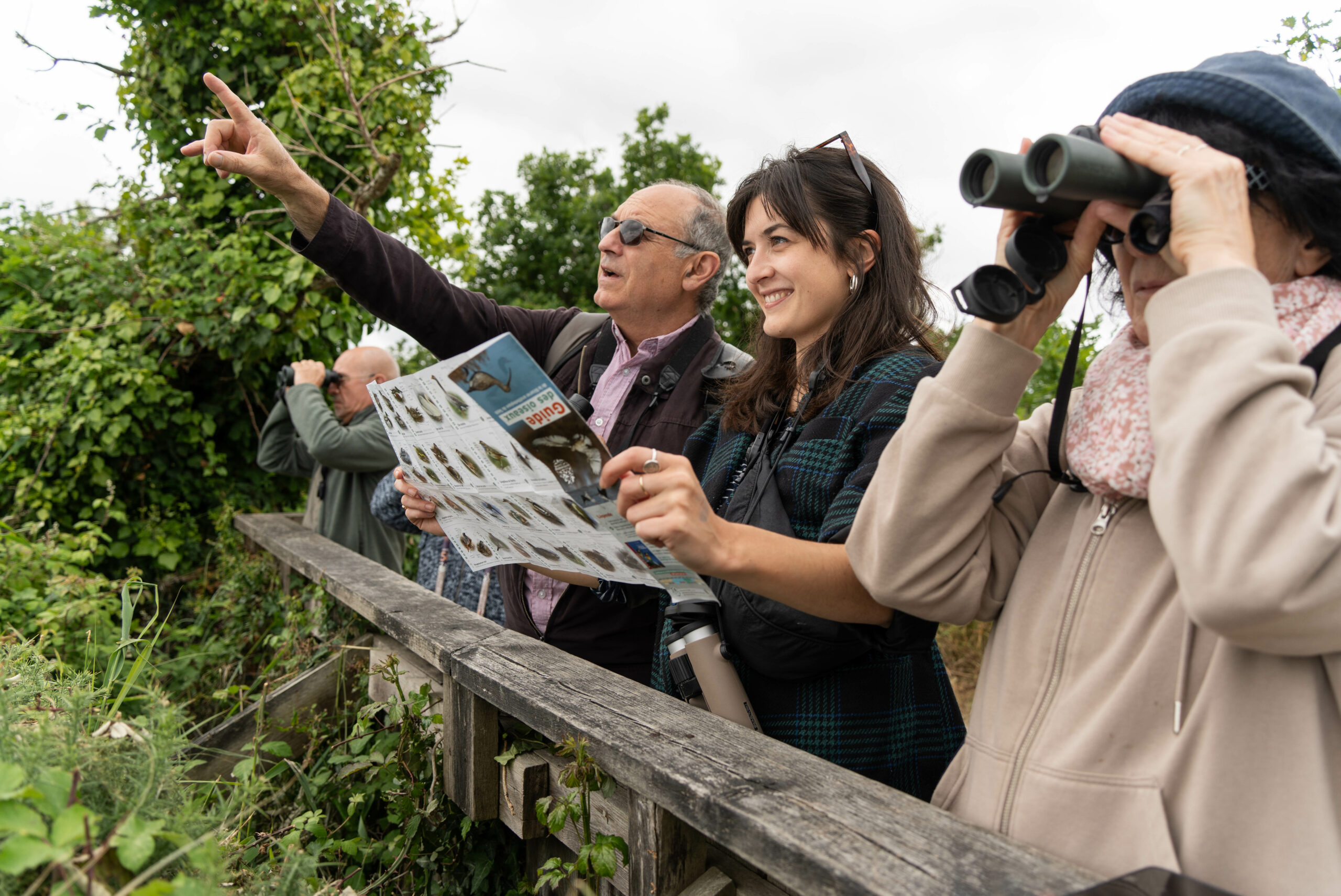 Visite « ornitho-historique » de la Réserve ornithologique du Teich - Agenda Nature du Teich
