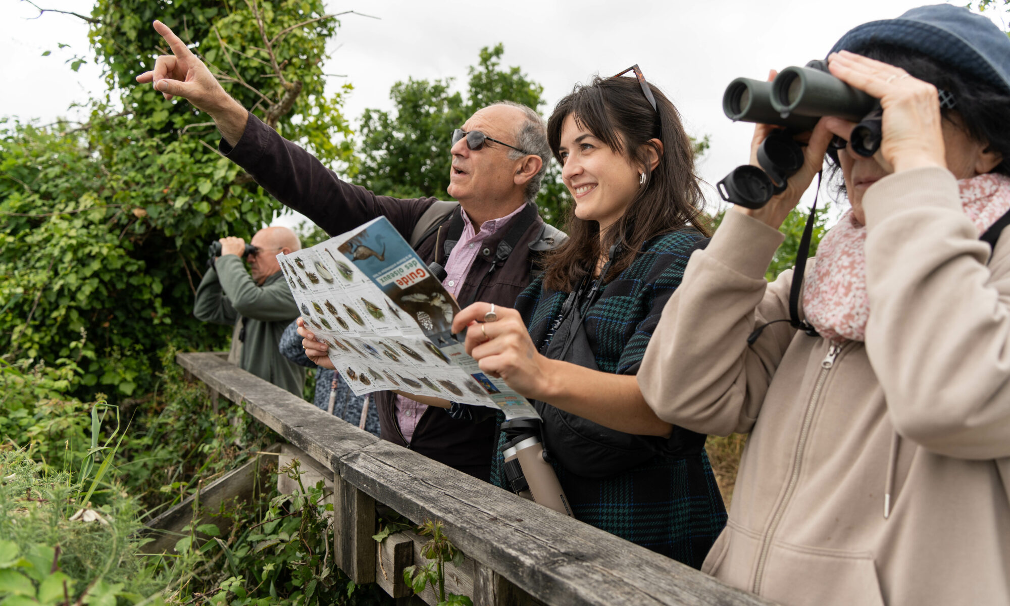 Visite « ornitho-historique » de la Réserve ornithologique du Teich • Nature