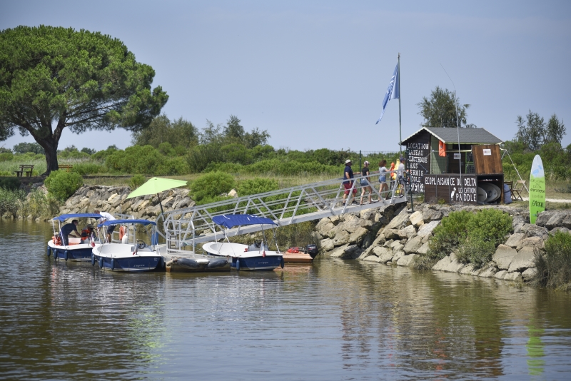 Promenade privatisée avec guide en bateau électrique • Visite