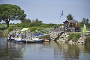 Promenade privatisée avec guide en bateau électrique - Agenda Nature Office de Tourisme Le Teich