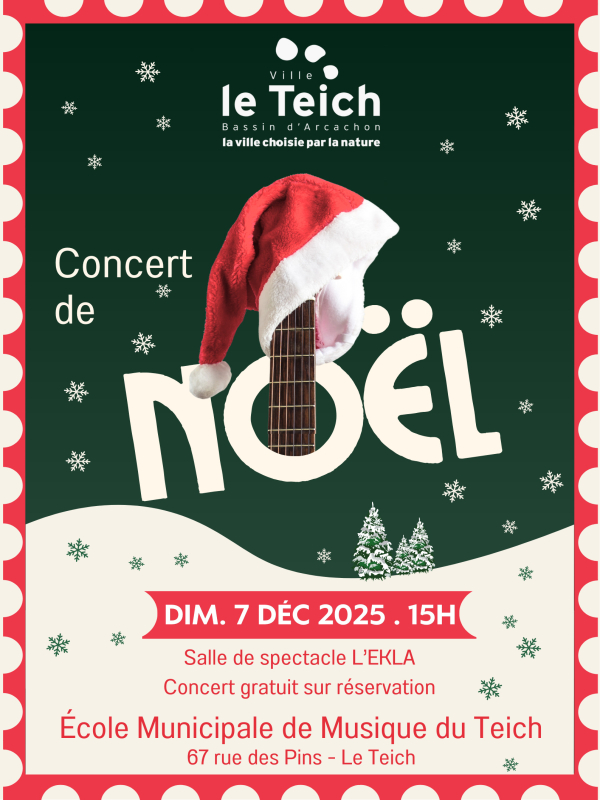 Concert de Noël de l'Ecole Municipale de Musique du Teich. • Musique classique