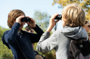 A vos jumelles, prêts? Observez! - Agenda Nature Office de Tourisme Le Teich