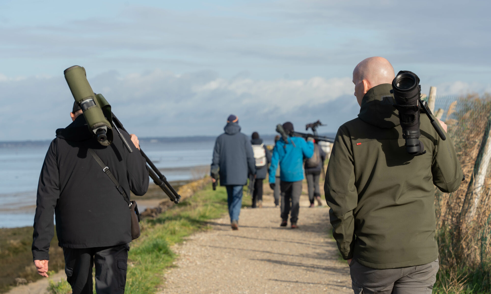 Formation aux oiseaux du littoral : les limicoles, le temps de l'hiver &bull; Atelier/Stage