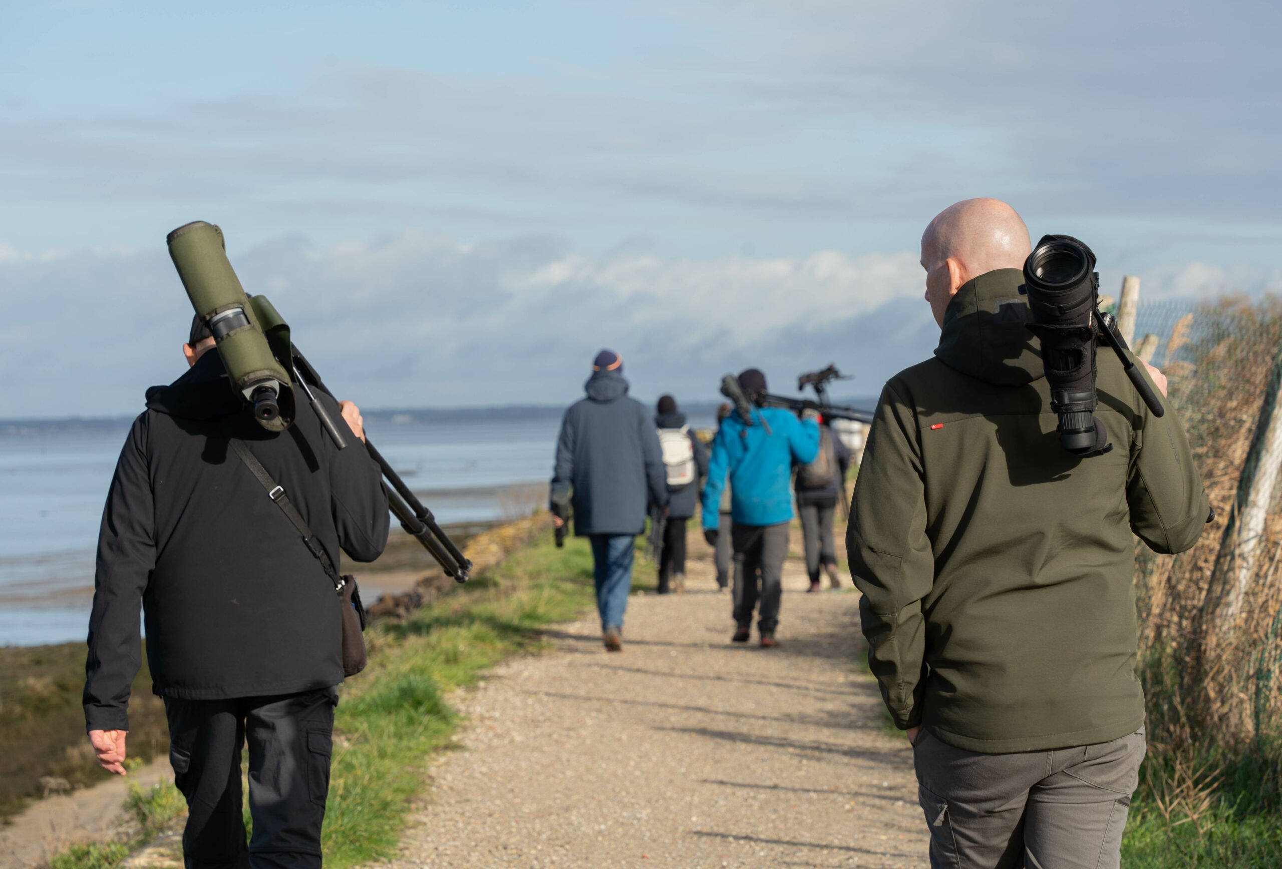 Formation aux oiseaux du littoral : les limicoles, le temps de l&rsquo;hiver - Agenda Nature du Teich