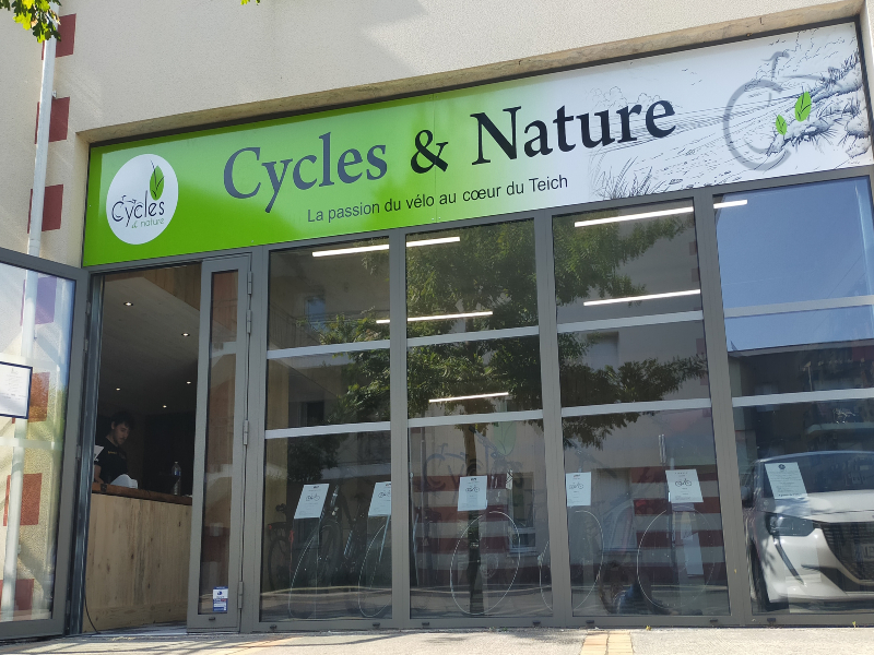 Cycles & Nature
