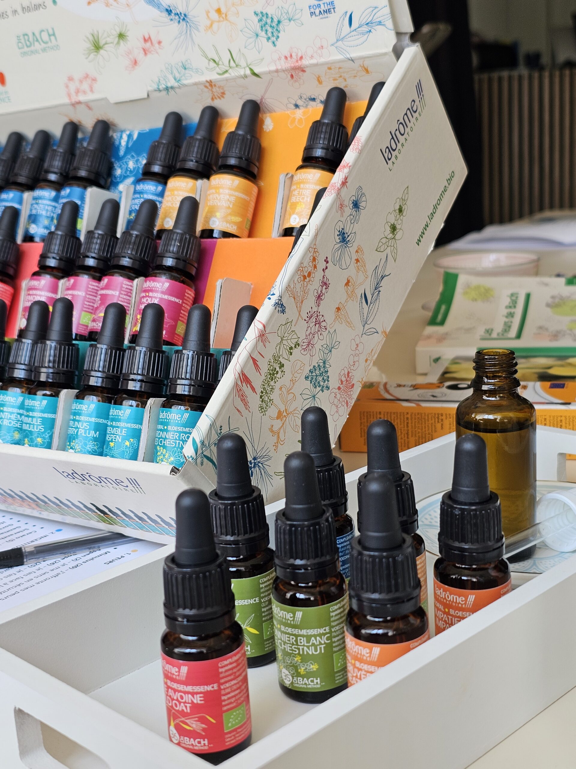 Atelier mieux être émotionnel avec les fleurs de Bach. - Agenda Nature du Teich