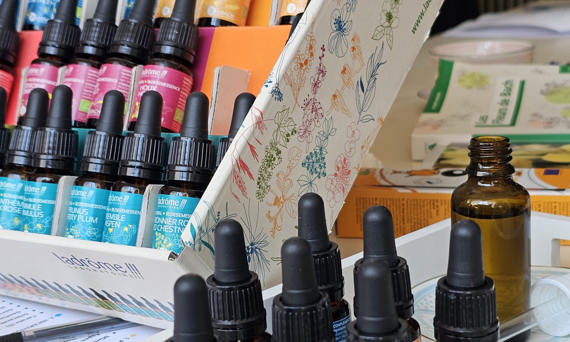 Atelier mieux être émotionnel avec les fleurs de Bach. &bull; Animations locales