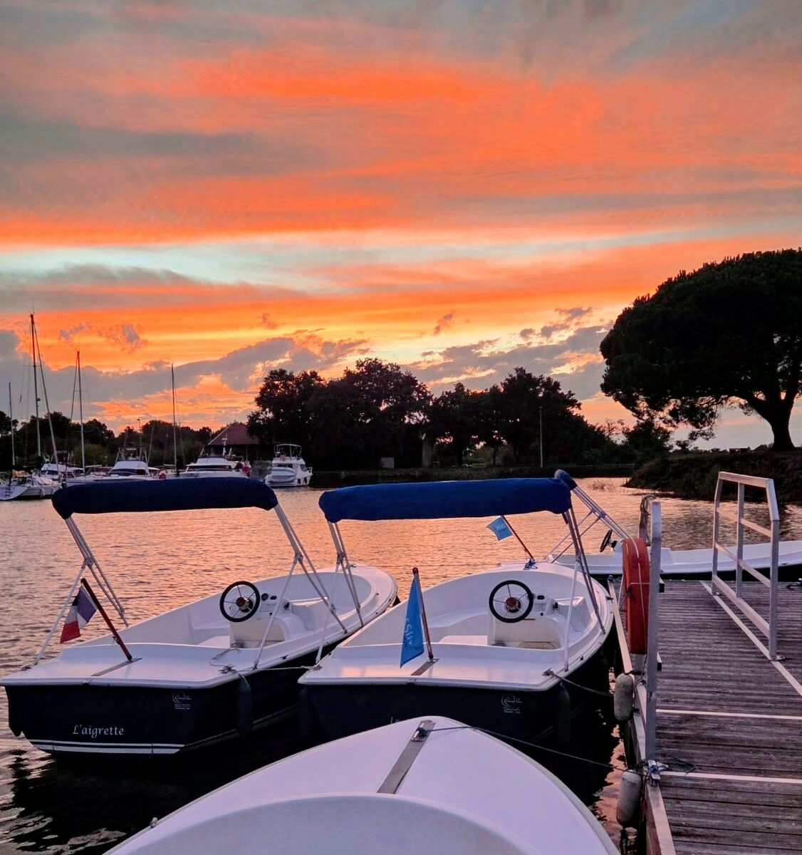 Bateau électrique sans permis : Sortie crépusculaire &bull; Visite