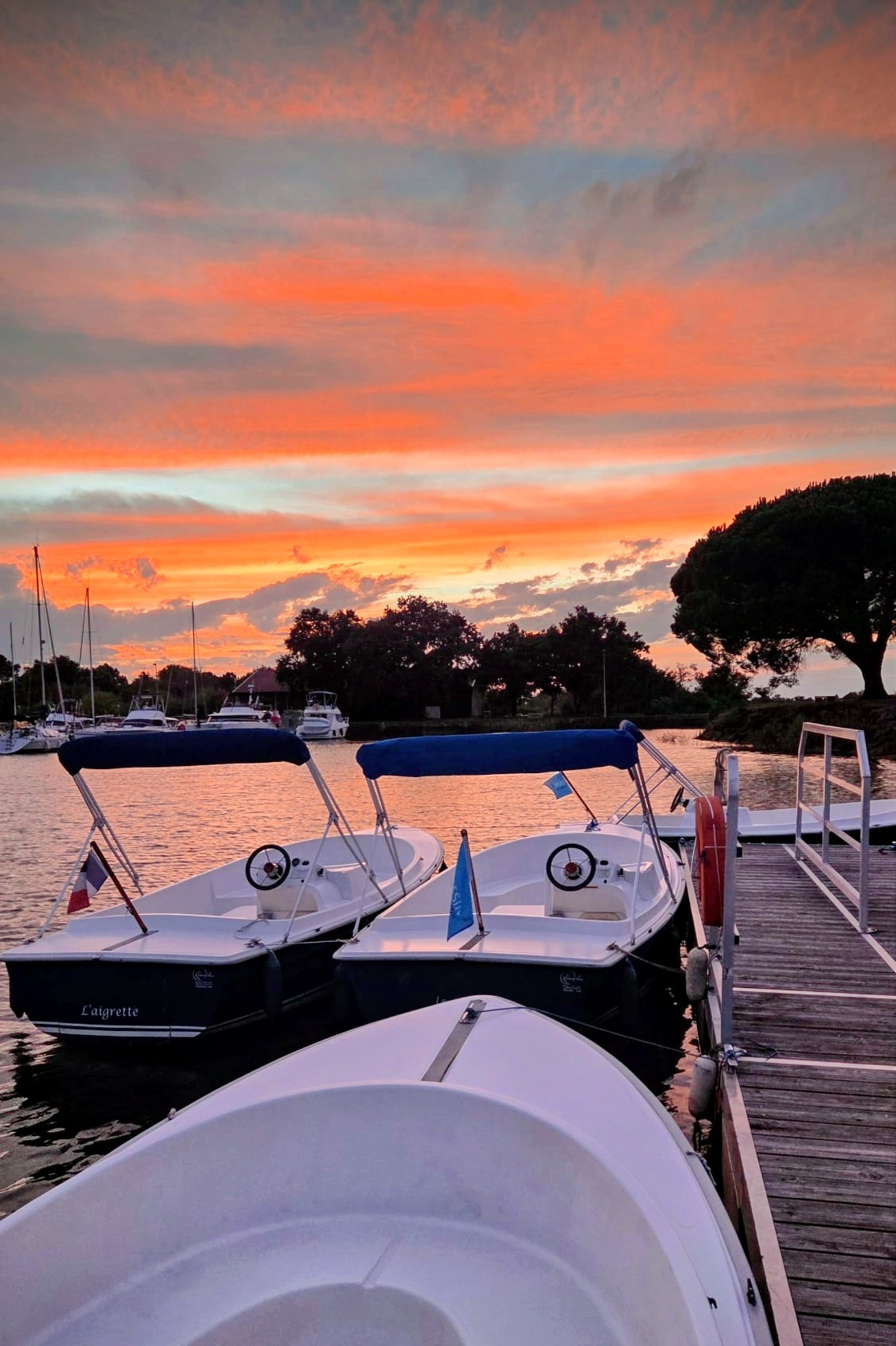 Bateau électrique sans permis : Sortie crépusculaire - Agenda Nature du Teich