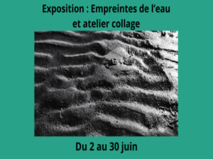 Exposition Empreintes de l&rsquo;eau par Céline Vermeire Bruère. - Agenda Animation et fête locale Office de Tourisme Le Teich