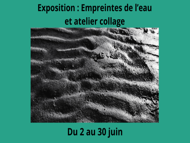 Exposition Empreintes de l'eau par Céline Vermeire Bruère. &bull; Arts créatifs/Arts plastiques