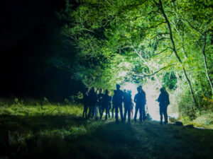 Les ailes de la nuit - Agenda Nature Office de Tourisme Le Teich
