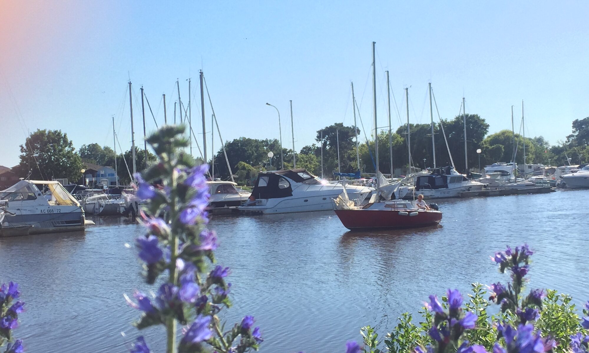Tèrra Aventura au Teich : "Alerte à la Réserve !" &bull; Avec la marmaille