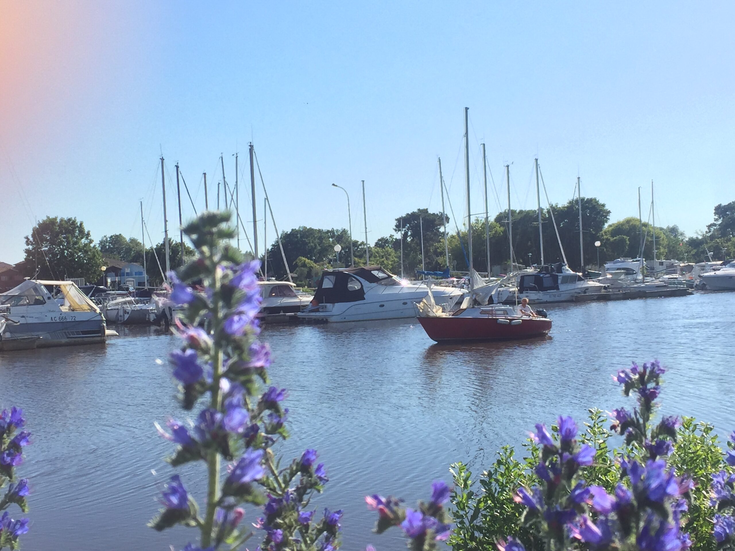 Tèrra Aventura au Teich : « Alerte à la Réserve ! »